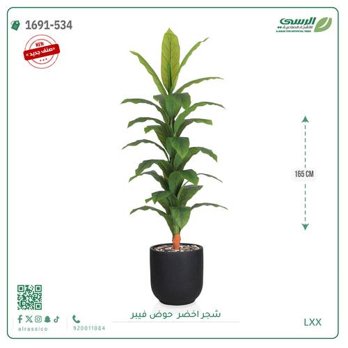 شجرة ورق أخضر وسط بمركن فيبر اسطوانى 