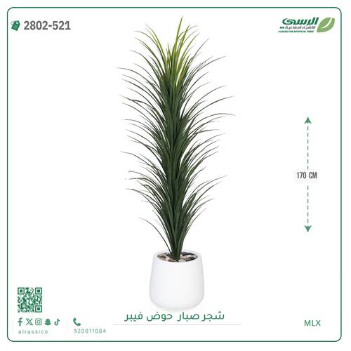شجرة صبار صناعية ( ارتفاع 170 سم ) حوض فيبر