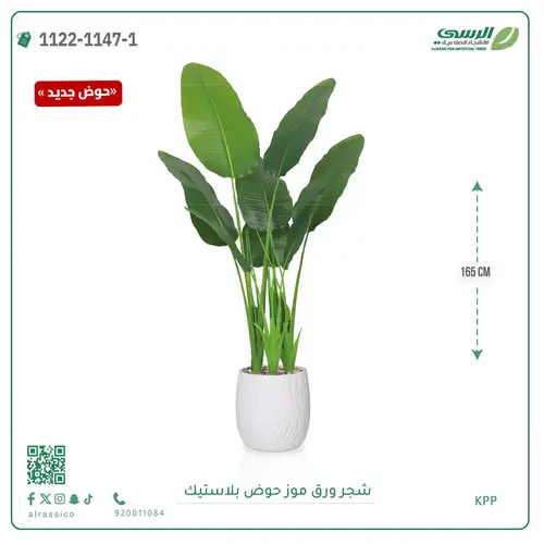 شجرة موز صناعية ( ارتفاع 165 سم ) حوض بلاستيك