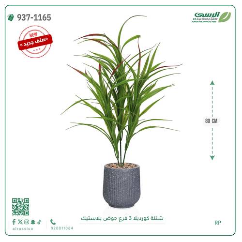 شجر كورديلا صناعية ( ارتفاع 80 سم ) حوض بلاستك