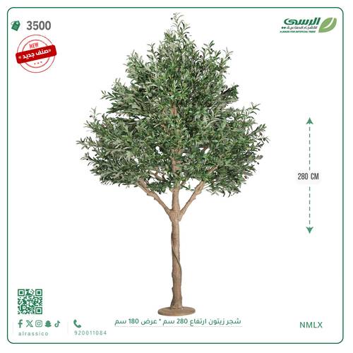 شجرة زيتون اصطناعية ( ارتفاع 280 سم ) حوض خام