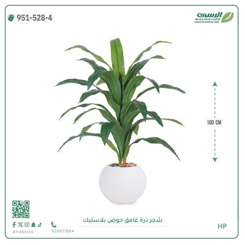  شجرة ذرة غامق بمركن بلاستيك دائرى 
