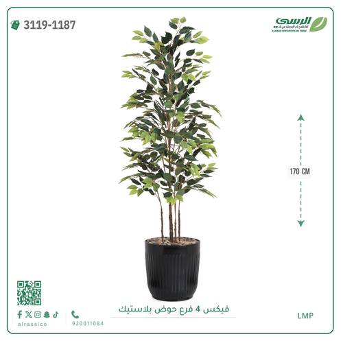 شجر فيكس صناعية ( ارتفاع 170 سم ) حوض بلاستك