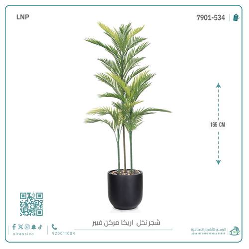 نخل أريكا اصطناعية (3 فرع) بمركن فيبر  أسطواني