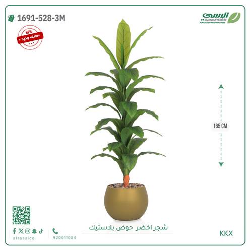  شجرة ورق أخضر وسط بمركن بلاستيك دائرى 