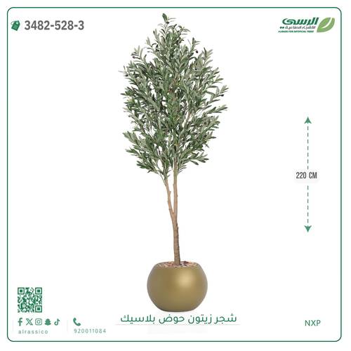 شجرة زيتون صناعية ( ارتفاع 220 سم ) حوض بلاستك
