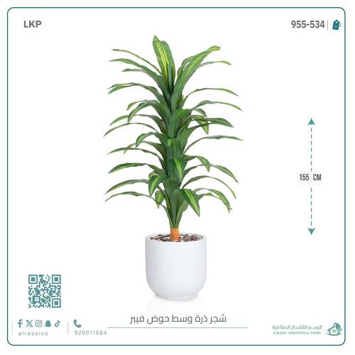  شجرة نبات الذرة (دراسينا) الاصطناعية كبيرة بمركن فيبر  أسطواني 
