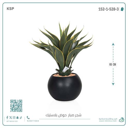 صبار ذيل الثعلب الصناعي بمركن بلاستيك دائرى  