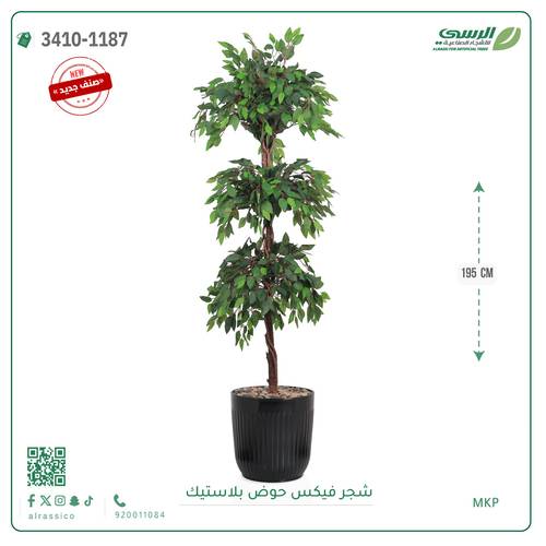 شجر فيكس صناعية ( ارتفاع 195 سم ) حوض بلاستك