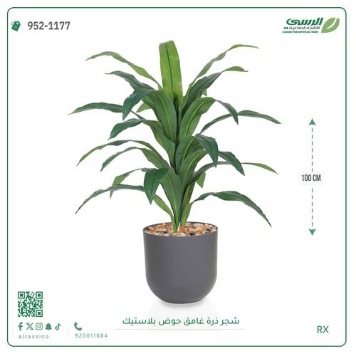  شجرة ذرة غامق بمركن بلاستيك أسطواني