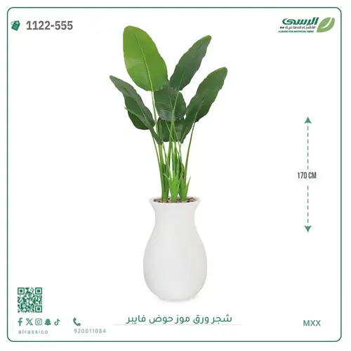 شجرة موز صناعية ( ارتفاع 170 سم ) حوض فيبر