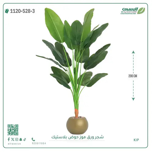 شجرة موز صناعية ( ارتفاع 200 سم ) حوض بلاستيك