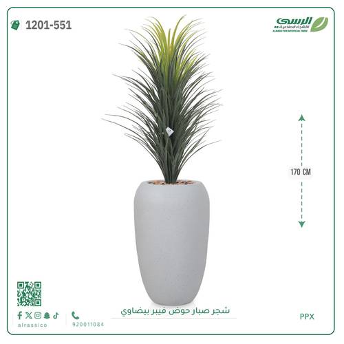 شجر صبار صناعية ( ارتفاع 170 سم ) حوض فيبر
