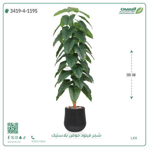 شجر فيلود صناعية ( ارتفاع 205 سم ) حوض بلاستيك