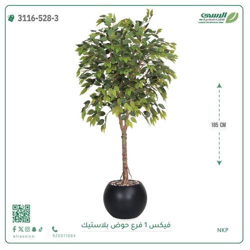 شجرة فيكس صناعية ( ارتفاع 185 سم ) حوض بلاستيك