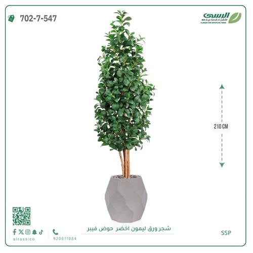 شجر ليمون صناعية ( ارتفاع 210 سم ) حوض فيبر