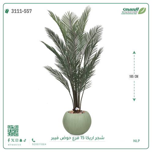 شجرة أريكا صناعية ( ارتفاع 185 سم ) حوض فيبر