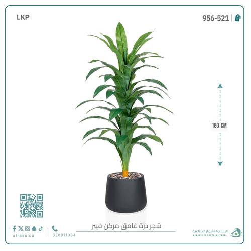 شجرة نبات الذرة (دراسينا) الاصطناعية بمركن فيبر بيضاوى