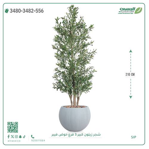 شجرة زيتون صناعية (ارتفاع 210 سم) حوض فيبر