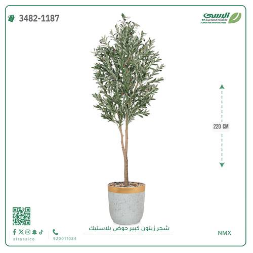 شجرة زيتون صناعية ( ارتفاع 220 سم ) حوض بلاستك