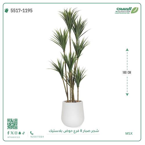 شجر صبار صناعية ( ارتفاع 180 سم ) حوض بلاستيك