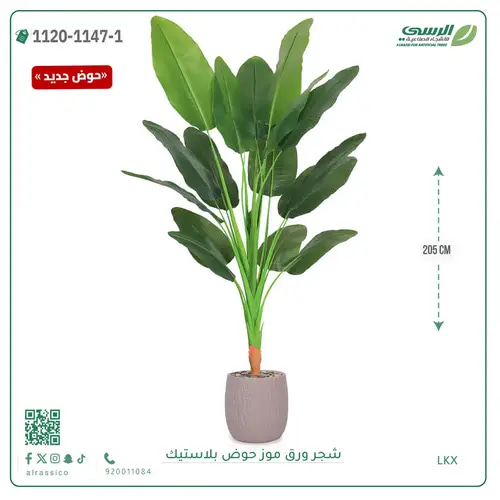 شجرة موز صناعية ( ارتفاع 205 سم ) حوض بلاستيك