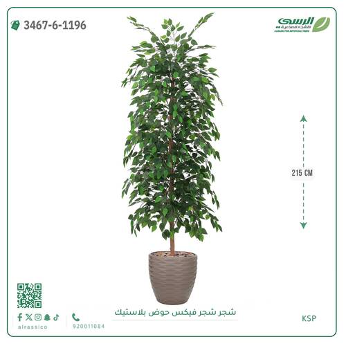 شجرة فيكس صناعية ( ارتفاع 215 سم ) حوض بلاستك