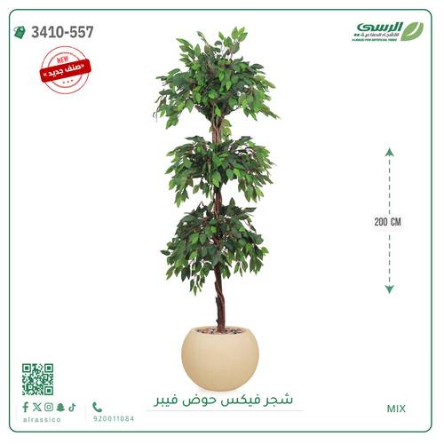 شجر فيكس صناعية ( ارتفاع 200 سم ) حوض فيبر