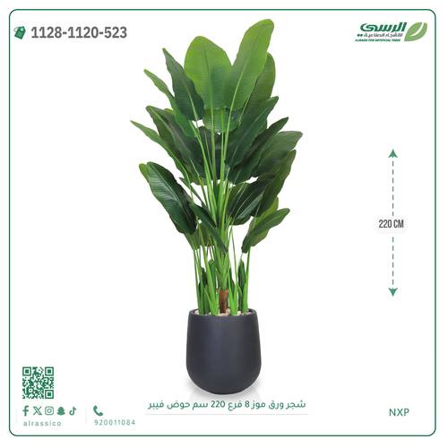 شجرة ورق موز صناعية (ارتفاع 220 سم) حوض فيبر