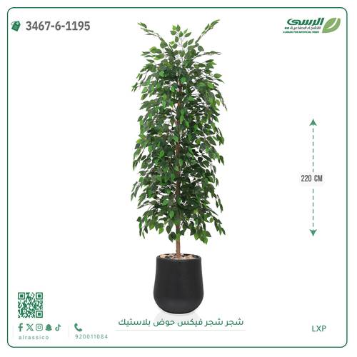شجرة فيكس صناعية ( ارتفاع 220 سم ) حوض بلاستك