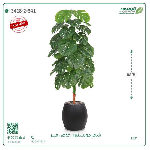 شجرة ورق قلب صناعية ( ارتفاع 160 سم ) حوض فيبر