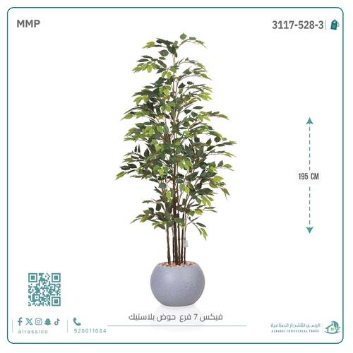 شجرة فيكس (7 فروع) بارتفاع195بمركن بلاستيك دائرى