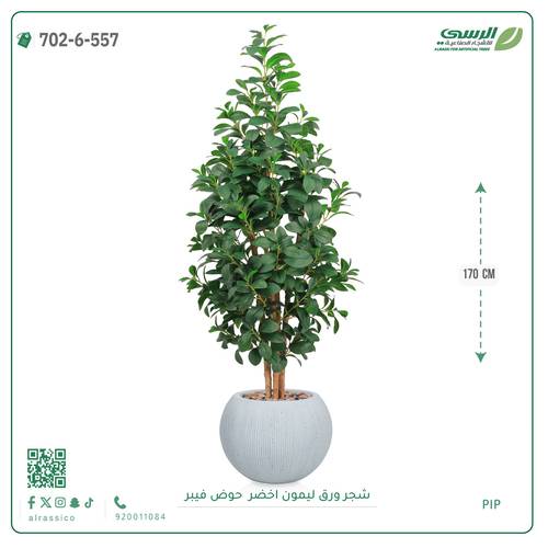 شجر ليمون صناعية ( ارتفاع 170 سم ) حوض فيبر