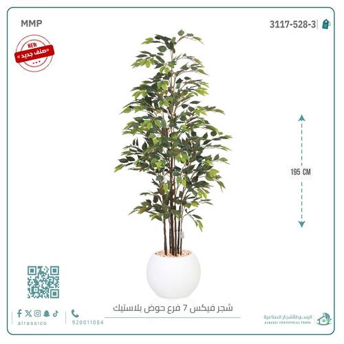 شجرة فيكس (7 فروع) بارتفاع195بمركن بلاستيك دائرى