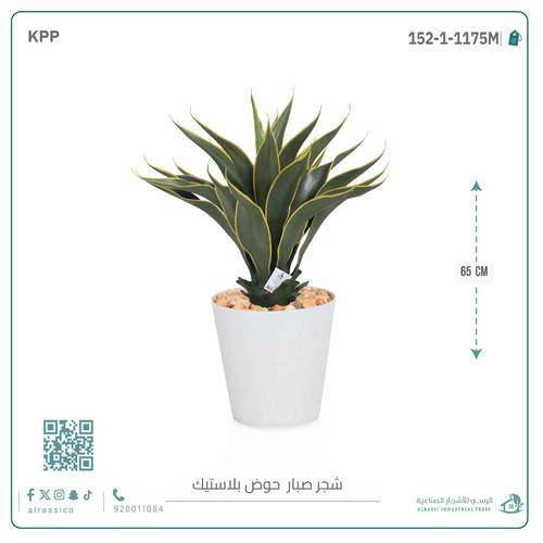 صبار ذيل الثعلب الصناعي بمركن بلاستيك اسطوانى 