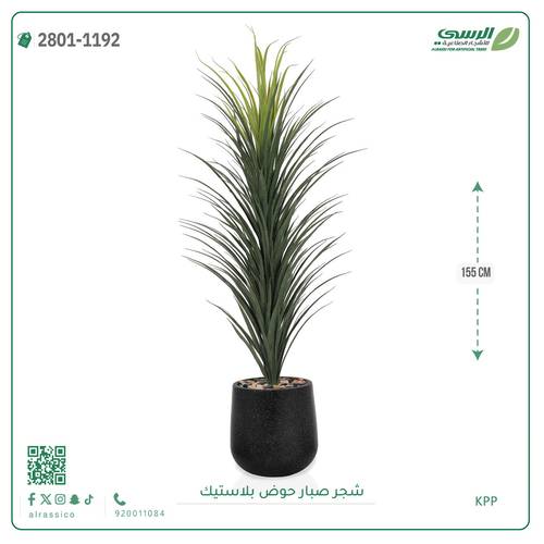 شجر صبار صناعي ( ارتفاع 155 سم ) حوض بلاستيك