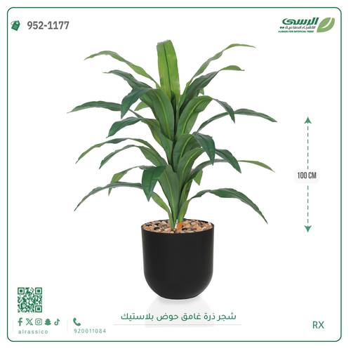  شجرة ذرة غامق بمركن بلاستيك أسطواني