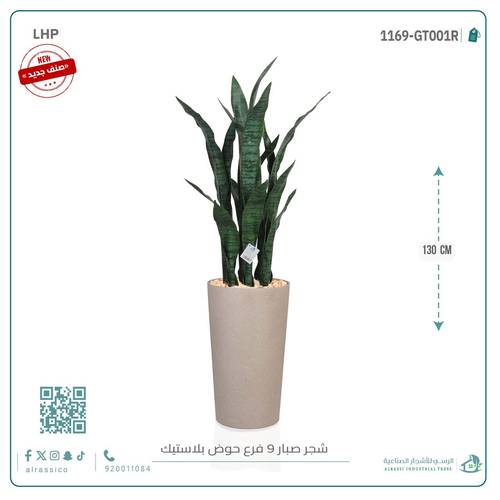 صبار جلد النمر أخضر ب9 فروع
