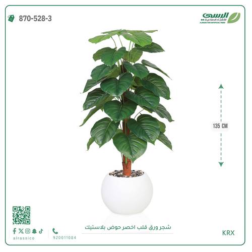 شجرة ورق قلب اصطناعية ( ارتفاع 135 سم ) حوض بلاستيك