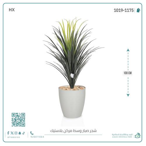 شجرة صبار اصطناعى بمركن بلاستيك اسطوانى