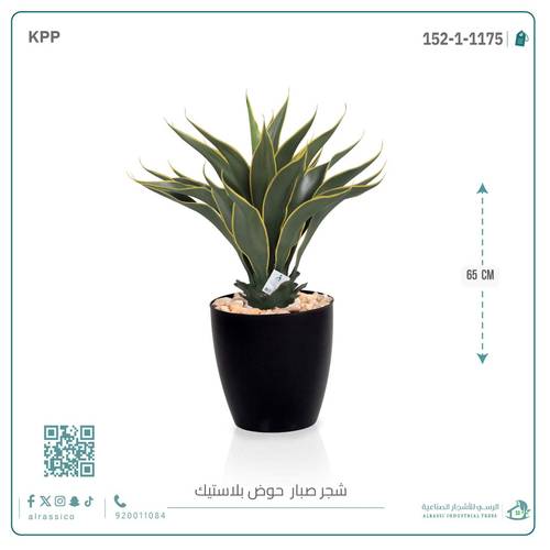 صبار ذيل الثعلب الصناعي بمركن بلاستيك اسطوانى 