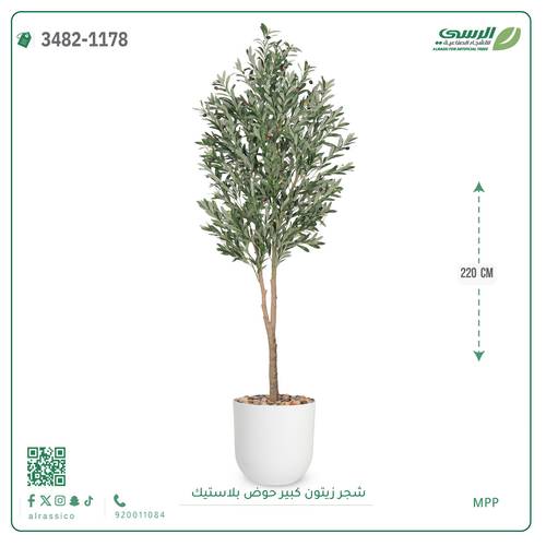 شجرة زيتون صناعية ( ارتفاع 220 سم ) حوض بلاستك