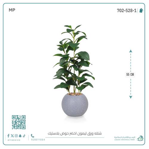  شتلة ورق ليمون اصطناعية بمركن بلاستيك دائري