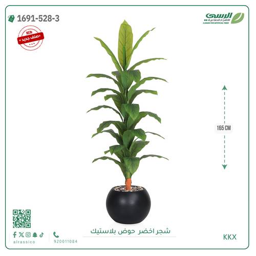  شجرة ورق أخضر وسط بمركن بلاستيك دائرى 