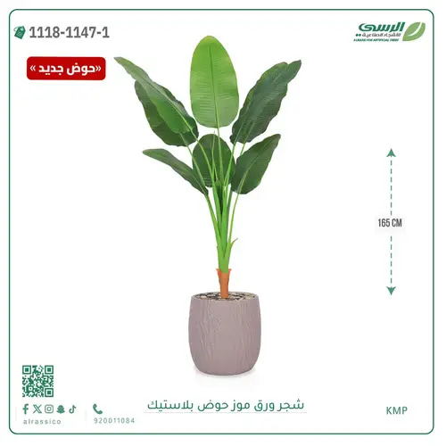 شجرة موز صناعية ( ارتفاع 165 سم ) حوض بلاستيك