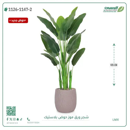 شجرة موز صناعية ( ارتفاع 185 سم ) حوض بلاستيك