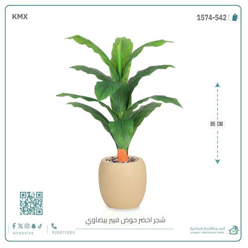 شجرة ورق موز حوض فيبر بيضوي