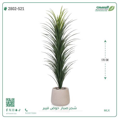 شجرة صبار صناعية ( ارتفاع 170 سم ) حوض فيبر