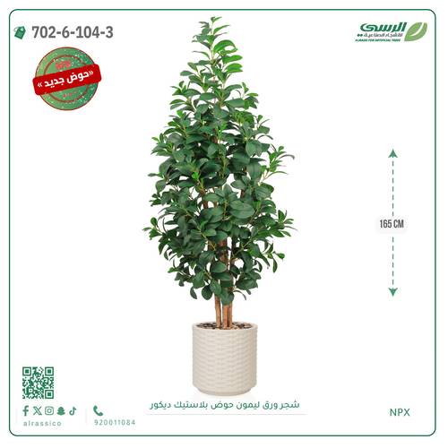 شجرة ورق ليمون صناعية ( ارتفاع 165 سم ) حوض بلاستك