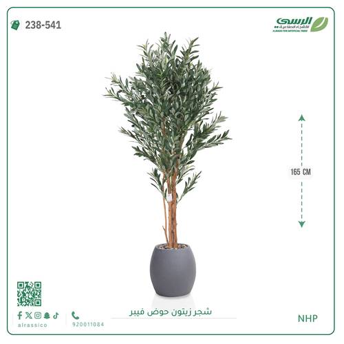 شجرة زيتون صناعية ( ارتفاع 165 سم ) حوض فيبر